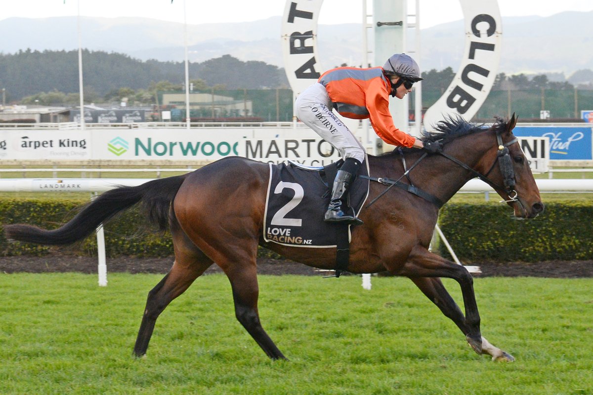 Opunake Cup test for Tavis Court racingnews.co.nz/opunake-cup-te…