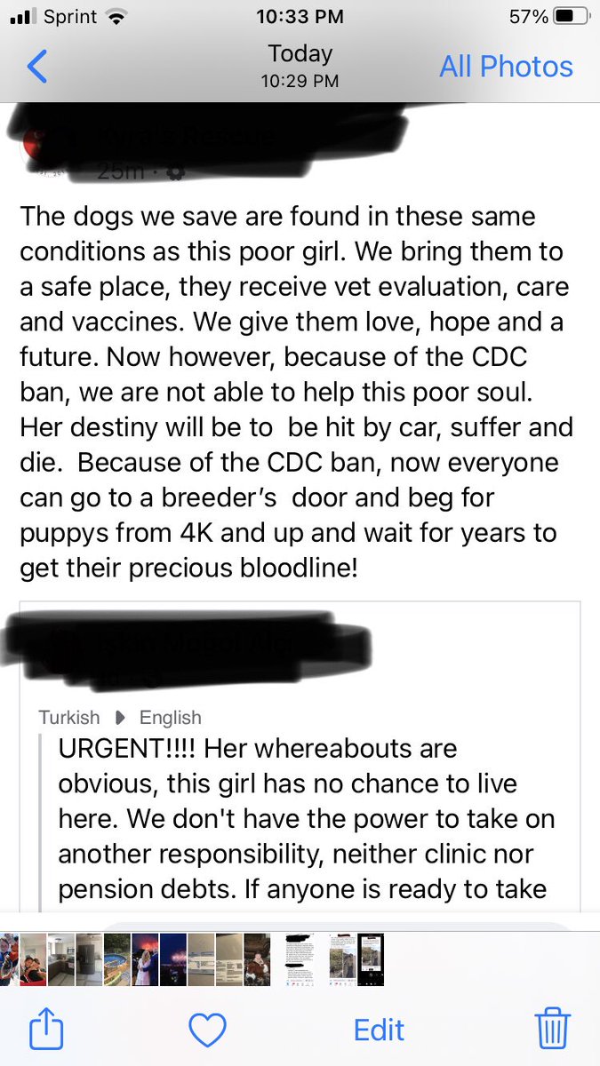 Melynn309's tweet image. @cdc This is just one of thousands of dogs that will suffer thanks to your ban! 
#ReverseTheBan