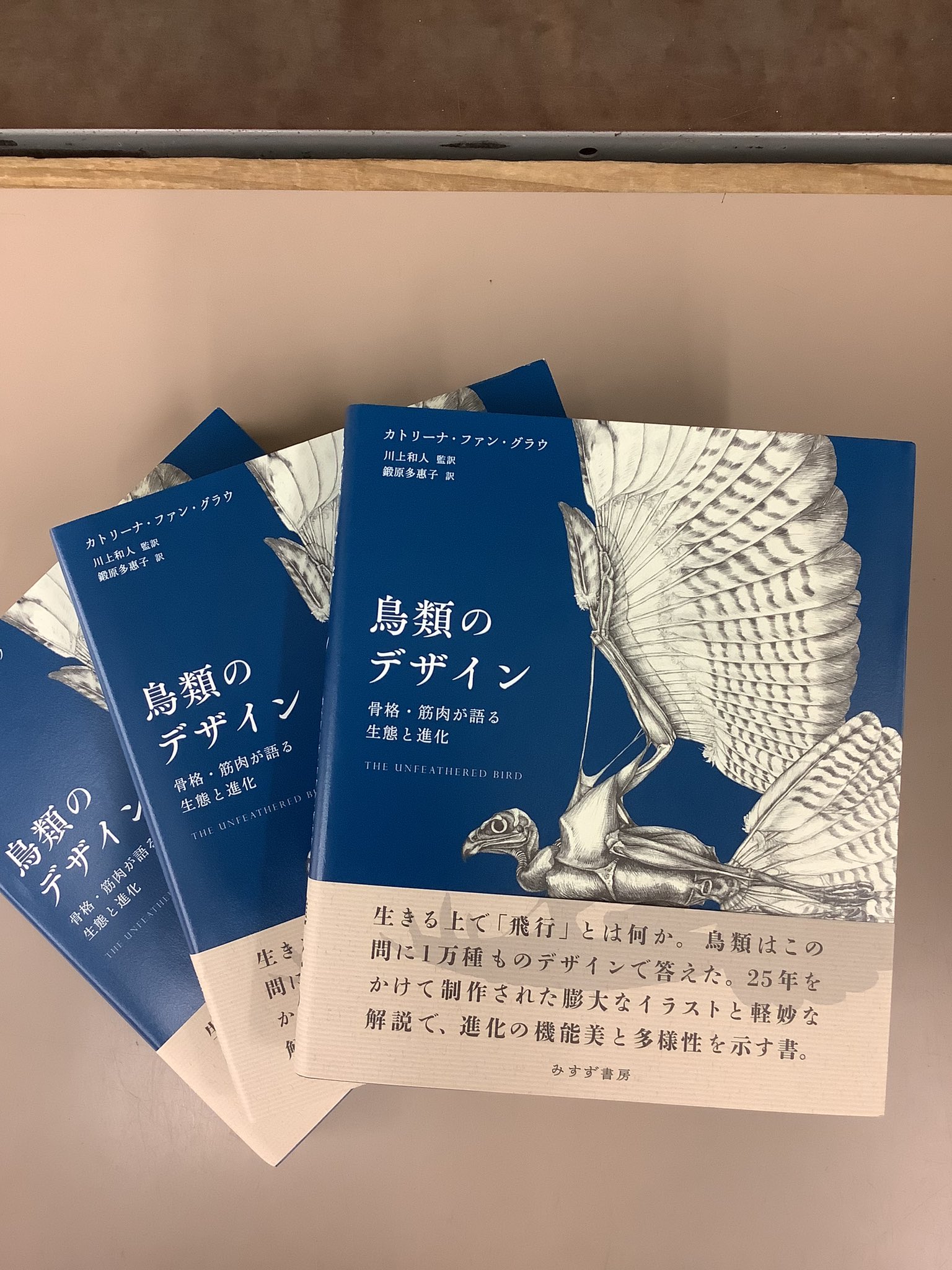 超特価商店 鳥類のデザイン 骨格 筋肉が語る生態と進化 69b847ed 代引き手数料無料 Cfscr Com