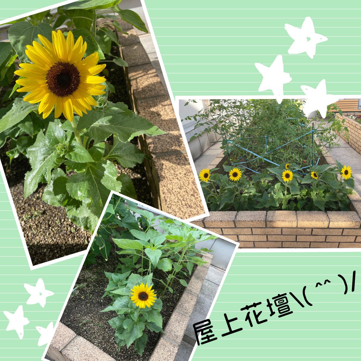 大原学園小倉校 Ohara Kokura Twitter 大原学園小倉校 Ohara Kokura Twitter