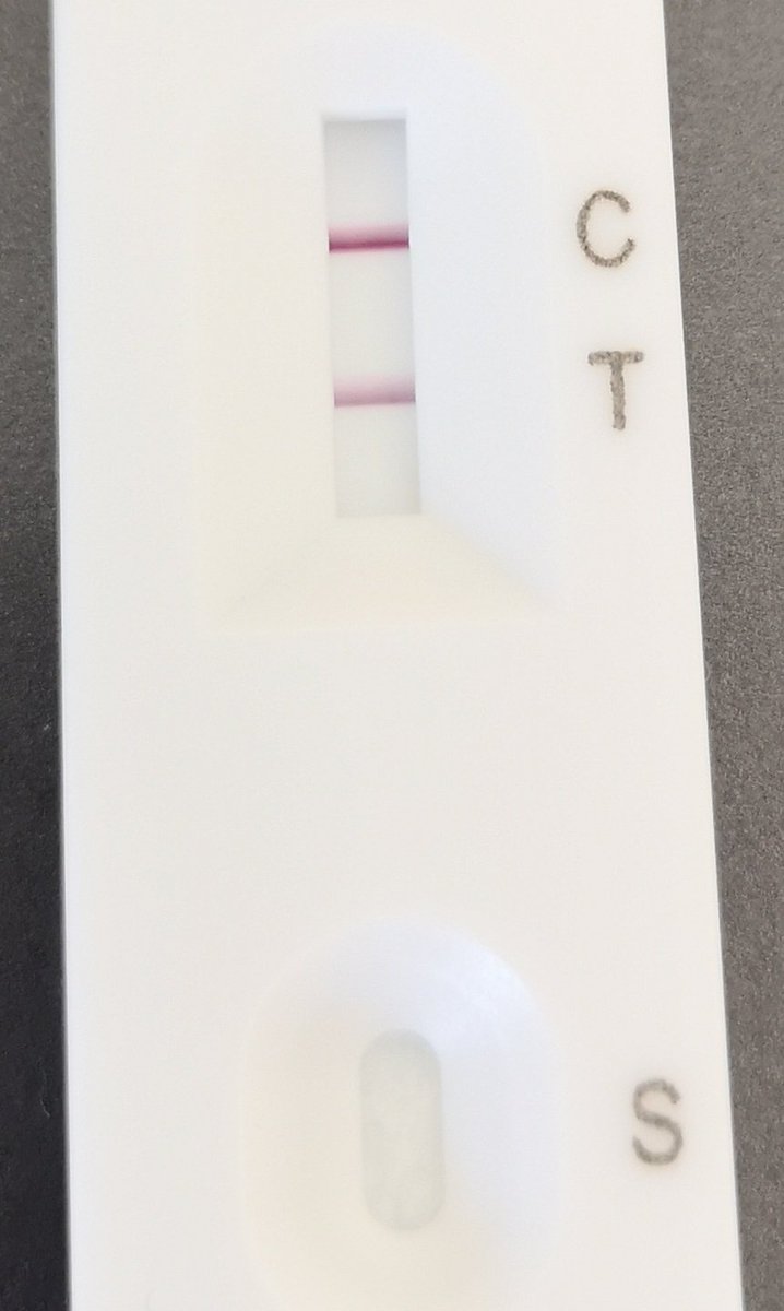 CompsciMrb's tweet image. Nobody wants to see this on their LFT.
As a teacher who has been doubley carefull. Finished 5 days ago. Hasn't been out of the house and is 3 days away from family holiday I am devestated. Angry. Gutted and so disappointed. 🤬🤦🏼♂️