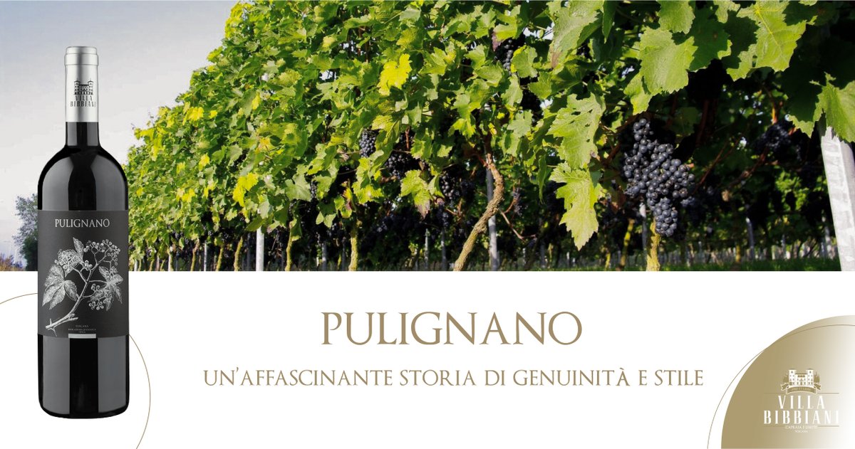 Welcome to Villa Bibbiani, we are just a few steps from Florence, where Sangiovese grapes are grown for the production of Pulignano. Buy it on shop.villabibbiani.it #redwine #tuscanywine