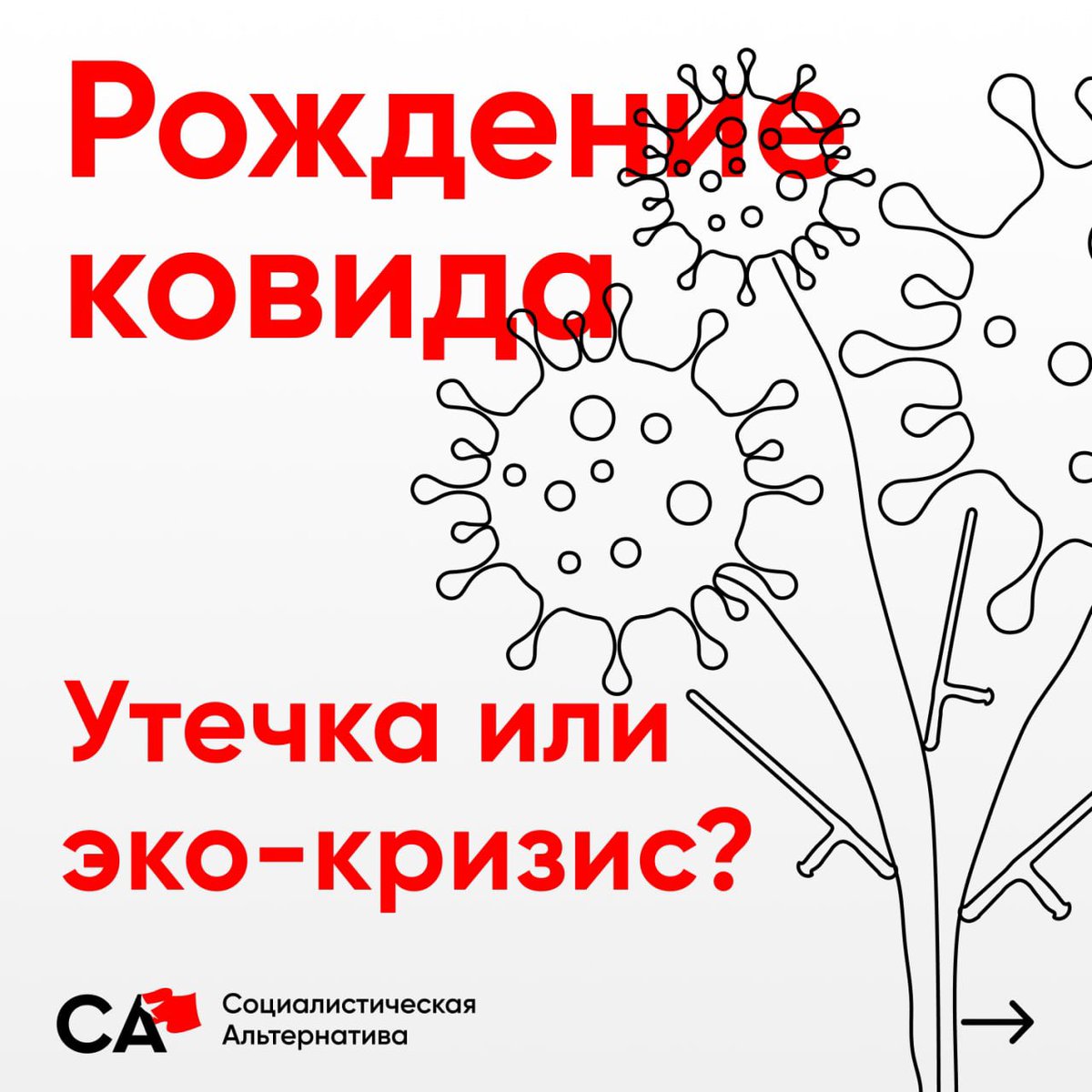 RuSocialist's tweet photo. Наш ирландский товарищ написал статью о происхождении ковида. Читайте укороченную версию в карточках и полноценную статью на нашем сайте

#Эпидемия #Империализм #Китай #США https://t.co/iDlLV5Vwjm