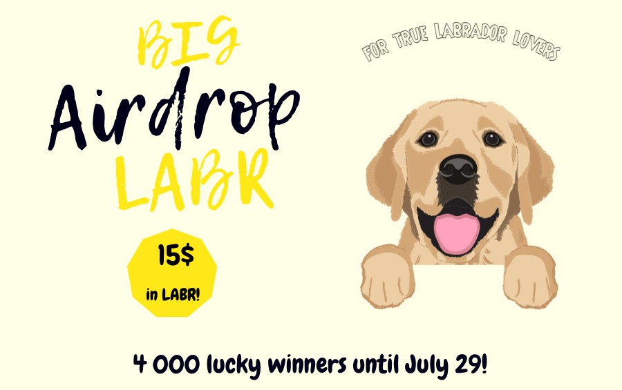 labrcoin's tweet photo. 💧Labrcoin Airdrop 💧

🏆 25 LABR (~$15)

💠 Join TG group https://t.co/sThA9JNxPO &amp; channel (https://t.co/4uxbNKU8he). 
💠 Follow Twitter https://t.co/0D3lXvMNLC &amp; retweet the pinned post &amp; tag 3 friends.
💠 Fill this form. https://t.co/ghPPmqgvk3.

⏳ Distribution: July, 30 https://t.co/JXpV5QsT8h
