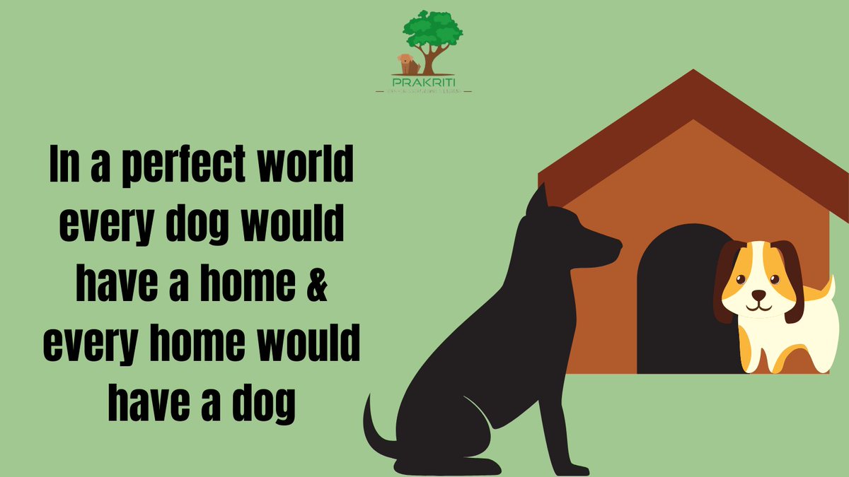 prakritingo's tweet photo. HOPE!! ❤️
#homeforanimals #homefordogs #foreverhome #fosterhome #dogs #doglovers #shelterhome #aasra #prakritishelter #ngo #india #bhopal #madhyapradesh #doghome #doghouse #prakritingo https://t.co/w6Hug8WnhE