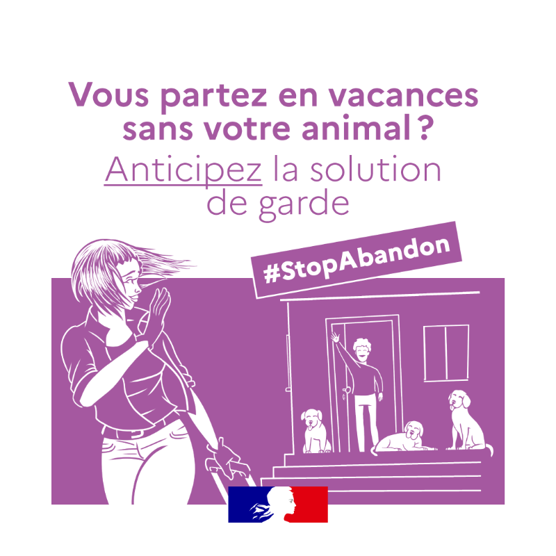 Agri_Gouv's tweet photo. Vous avez un animal 🐱🐶 de compagnie ? 
Pour adopter les bons réflexes cet été 👇 #StopAbandon