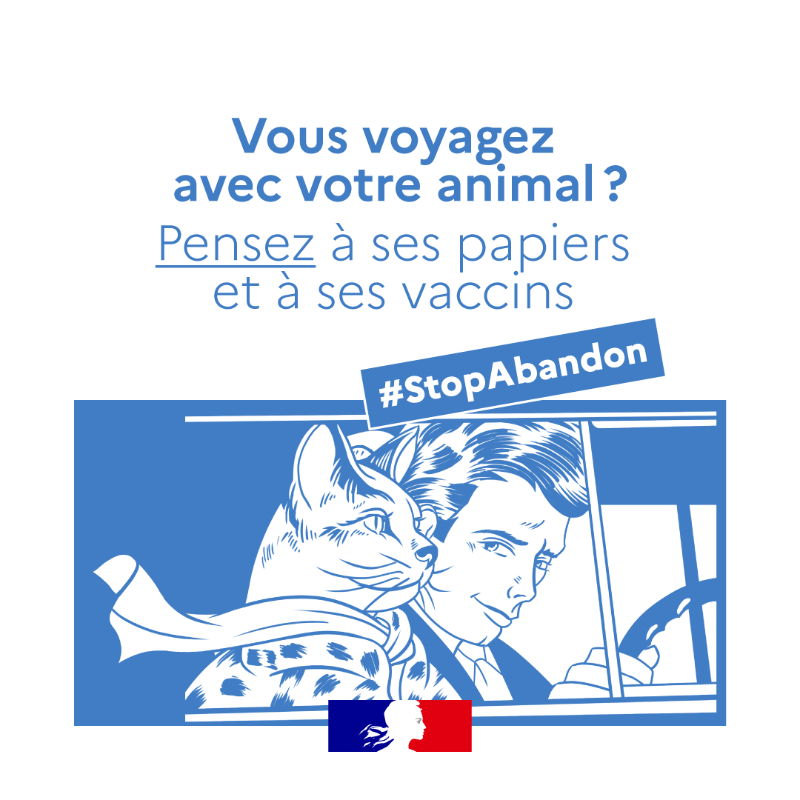 Agri_Gouv's tweet photo. Vous avez un animal 🐱🐶 de compagnie ? 
Pour adopter les bons réflexes cet été 👇 #StopAbandon