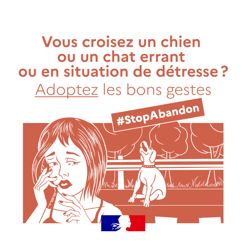 Agri_Gouv's tweet photo. Vous avez un animal 🐱🐶 de compagnie ? 
Pour adopter les bons réflexes cet été 👇 #StopAbandon