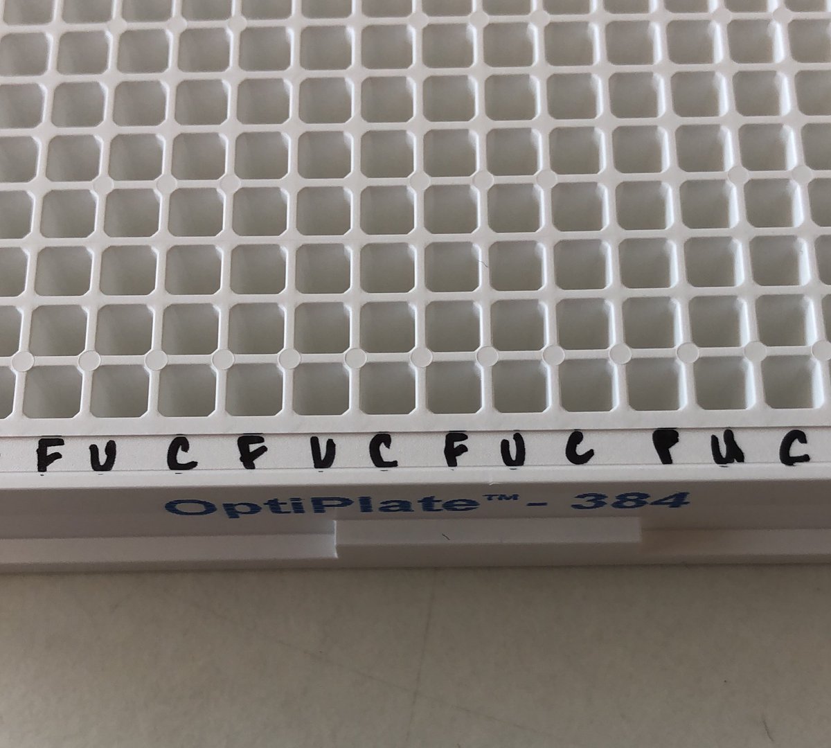 My internal monologue whilst plating on 384-well plates by hand… #PhDlife #AcademicTwitter