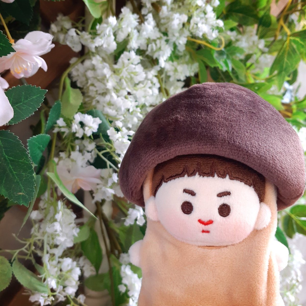 우리 귀여운 초코셍이🍄

#초코셍이