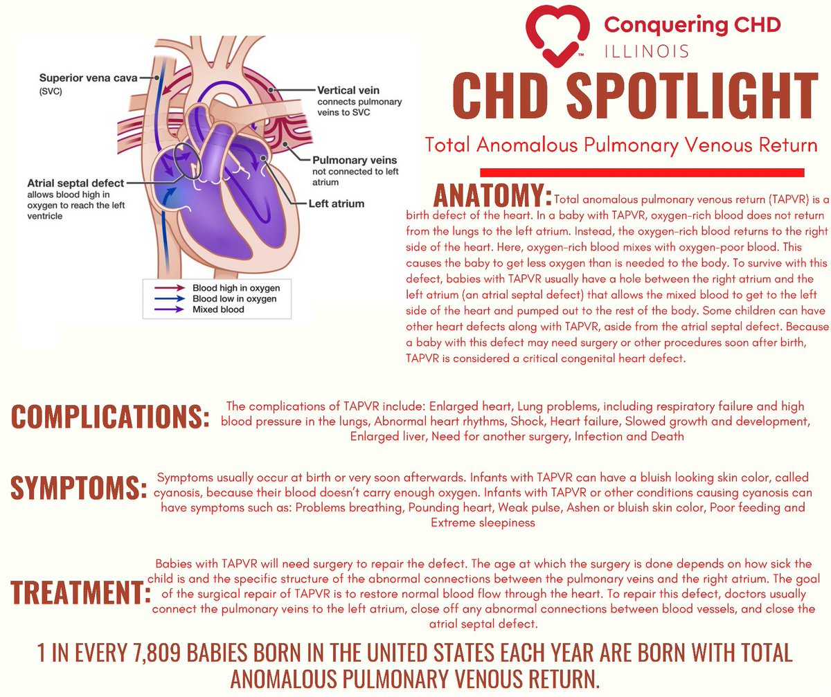 Total Anomalous Pulmonary Venous Return!! 1 in every 7,809 babies born in the United States each year are born with Total Anomalous Pulmonary Venous Return. #conqueringchdinil #chdspotlight #chd #chdawareness #TAPVR #tapvrsurvivor #totalanomalouspulmonaryvenousreturn