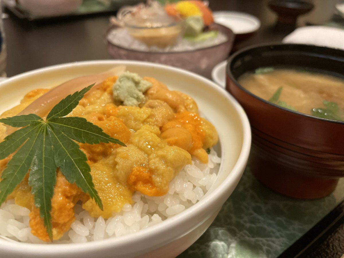 ワラビカナコ 八戸のウェブディレクター お打合せの後 ぼてじゅうで生ウニ丼をごちそうになりました ウニ はもちろんだけど 茶碗蒸しすごく美味しかった お刺身もお味噌汁も 何が言いたいかと言うと全部美味しかったです 今日は長丁場なので午後の