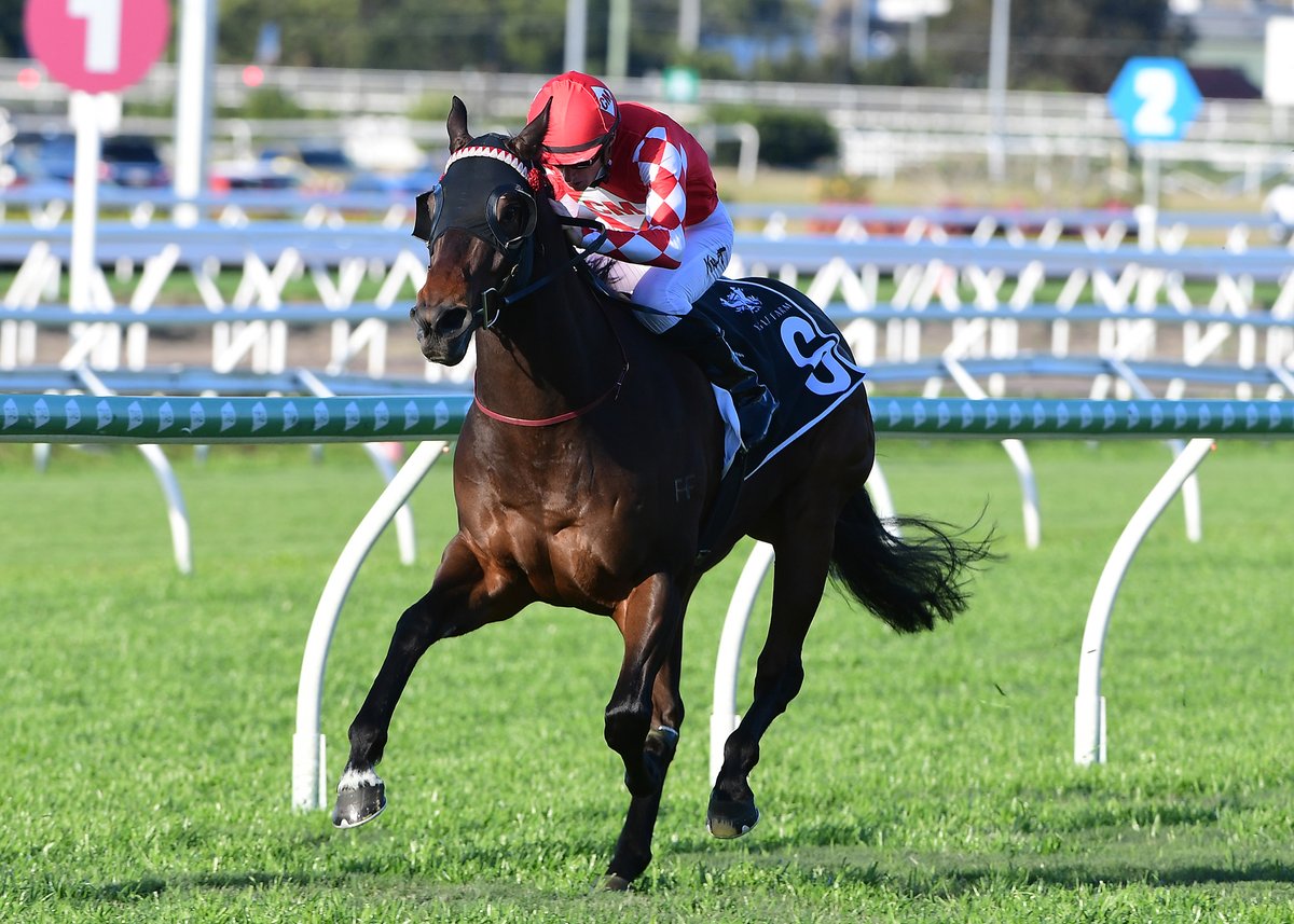 And @racing_cody's Levi's Storm makes it four from four for the public elects, giving apprentice Kyle Wilson-Taylor his first Eagle Farm winner.