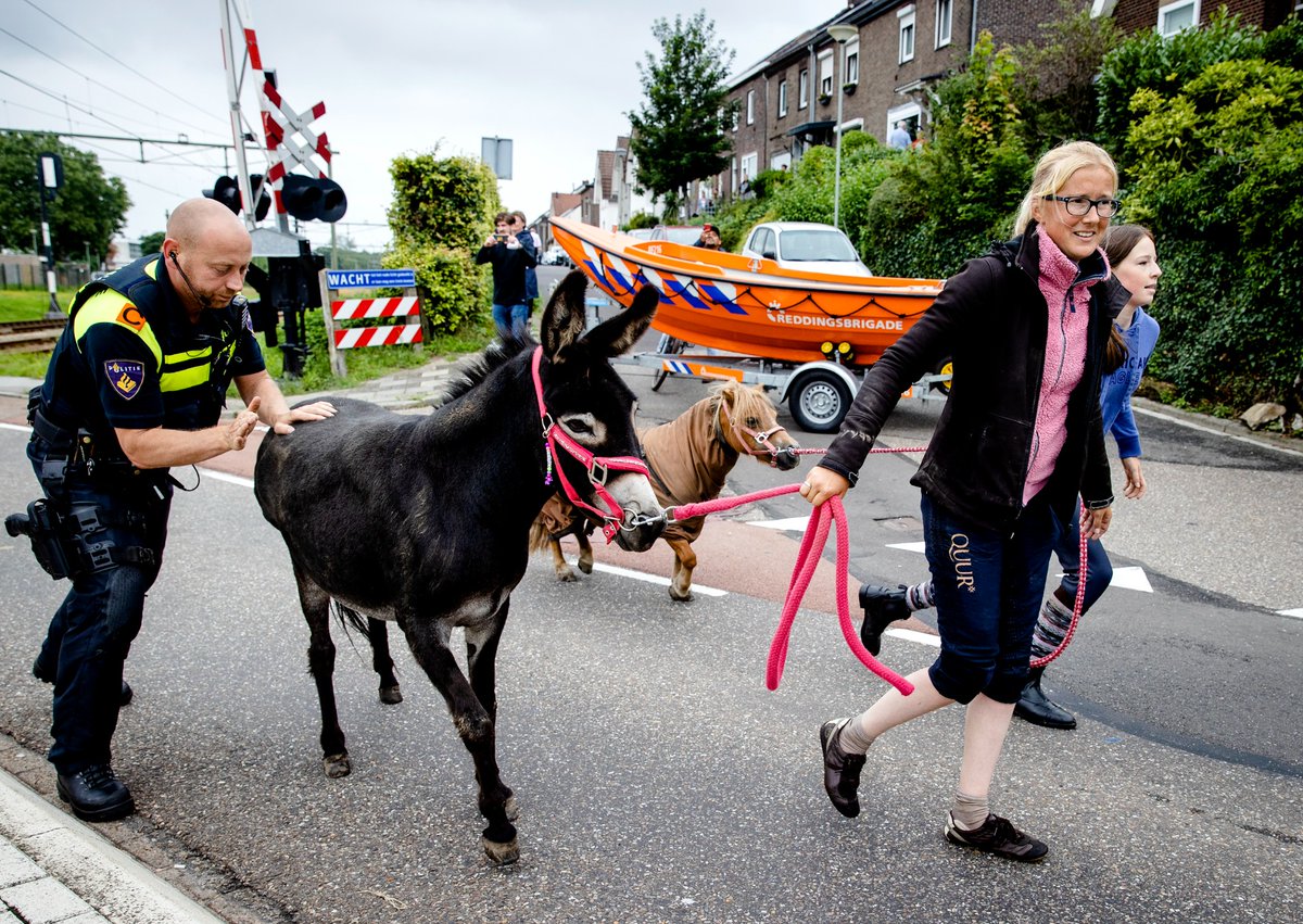 Het verhaal achter een foto in de rubriek Foto DNA. Dit keer met ANP-fotograaf Sem van der Wal, die drie dagen in het Limburgse overstromingsgebied werkte. <a href="/SemvanderWalNL/">Sem van der Wal</a> <a href="/anpfoto/">ANP Foto</a> dlvr.it/S47CHB