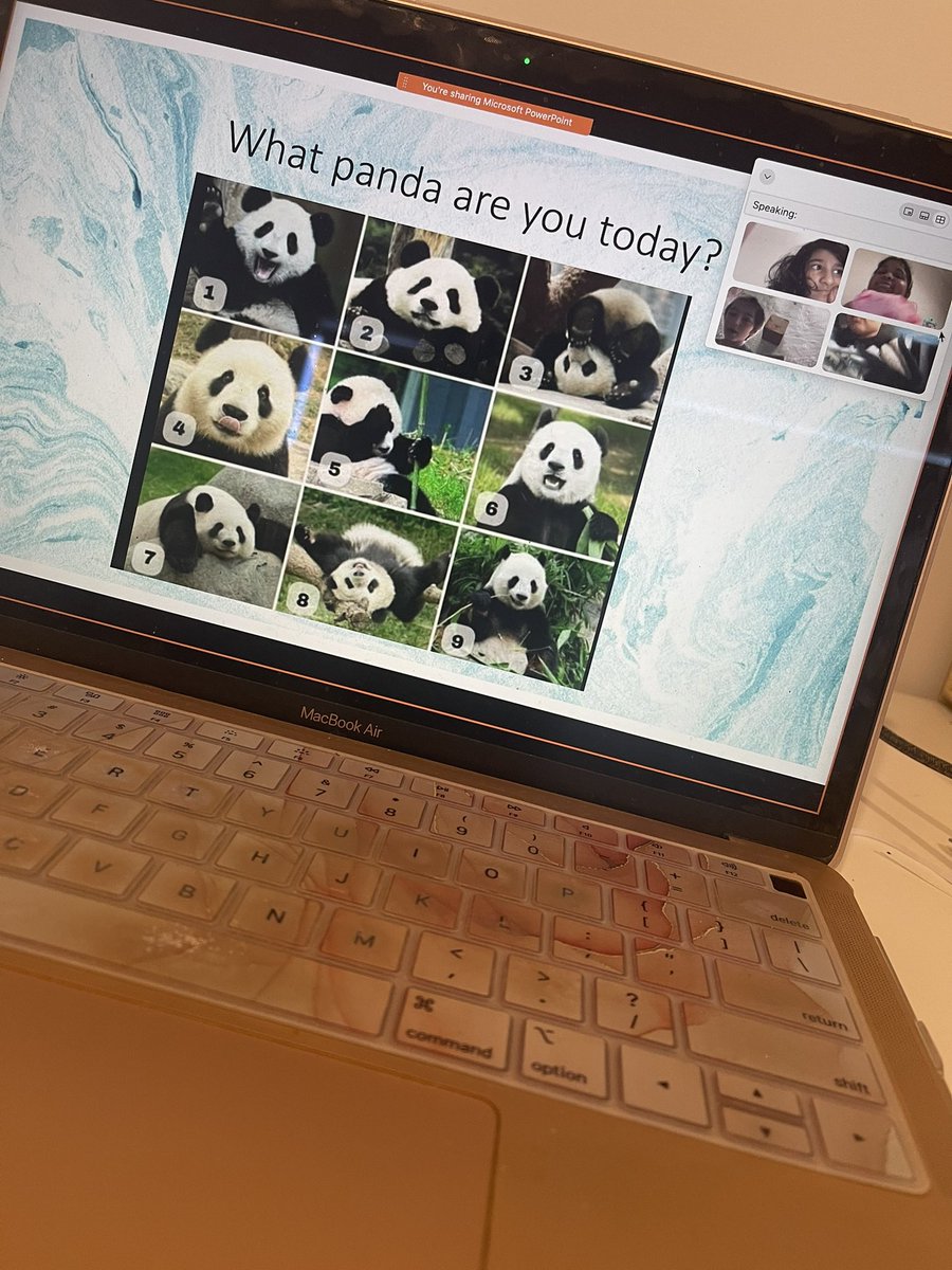 MrsLoweWheeler's tweet photo. Webex Check ins with 2A. Which panda are you today? @AitkenCreekPS https://t.co/5j3SKgQF2e