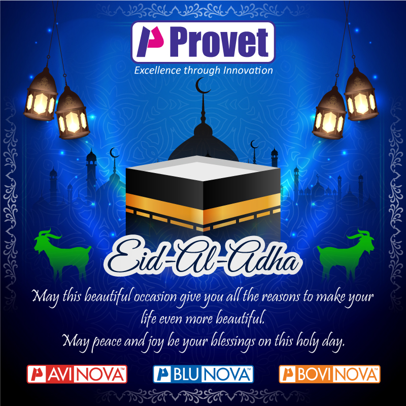 provetppl's tweet photo. May Almighty flood our lives with happiness on this occasion, our heart with love, our soul with spiritual, our mind with wisdom, wishing you a very Happy Eid. 🌙✨
#Provet #ProvetPharma #Bakrid #Eidmubarak #Avinova #Blunova #Bovinova 🤝 https://t.co/sKyAzXbpGz