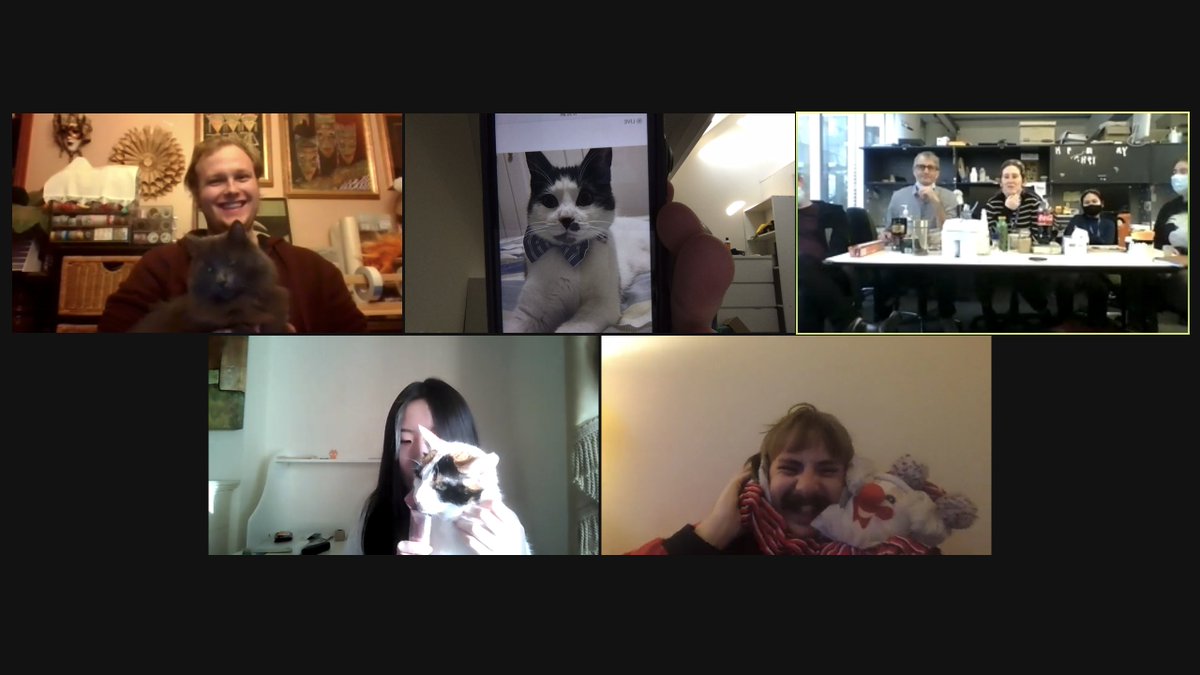 Kitties of the White group 😺 feat. Spencer, Pickles, and Cookie.