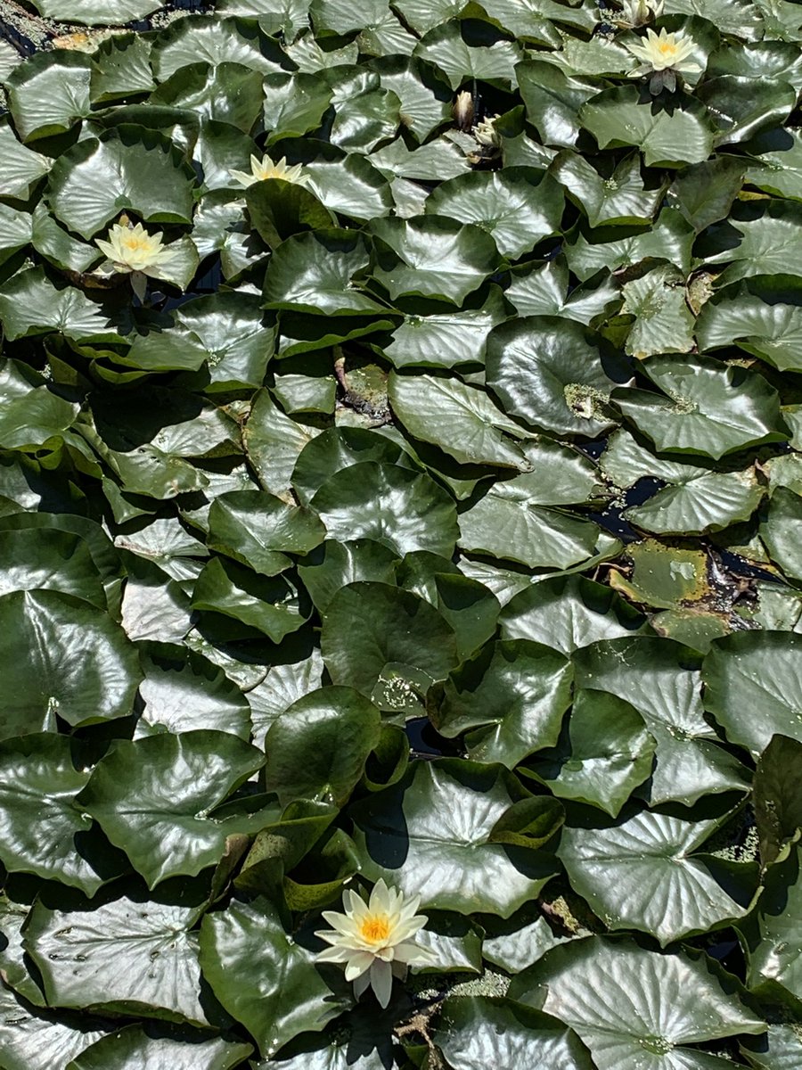 rksingh97263's tweet image. In the marketplace, it is considered smart to give less and take more. In a genuine relationship, you give whatever you can without caring what you get back