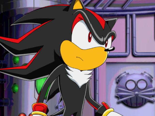 Sonic X Screencaps on Twitter  Shadow the hedgehog, Sonic and shadow, Sonic