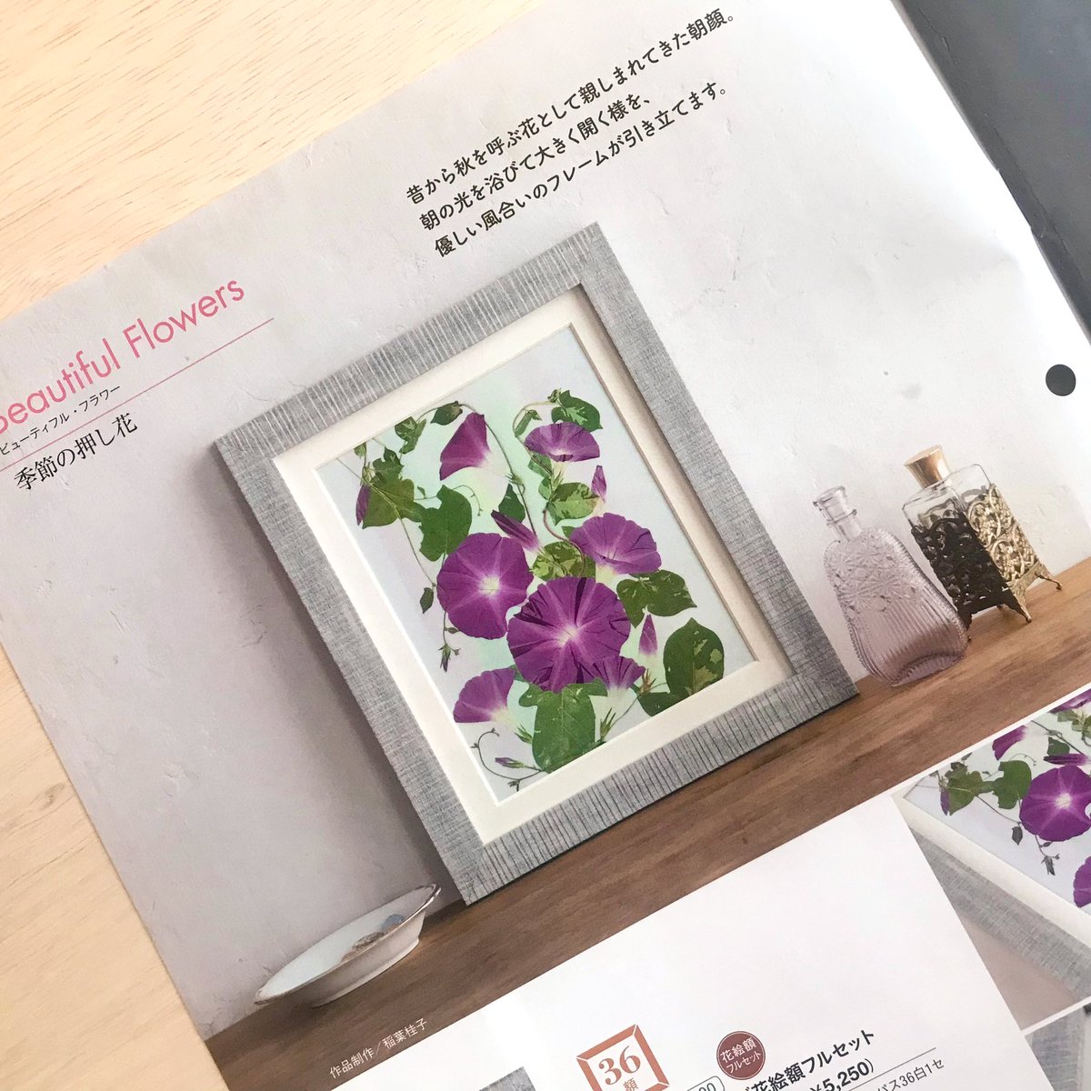 押し花サロン スイートアリッサム 完成 大好きな朝顔を作品にできて嬉しいな こちらの作品 日本ヴォーグ社の教材カタログに掲載していただきました 押し花 朝顔 Morningglory 押し花サロン スイートアリッサム 完成 大好きな朝顔を作品にできて嬉しいな こちらの作品 日本ヴォーグ社の教材カタログに掲載していただきました 押し花 朝顔 Morningglory