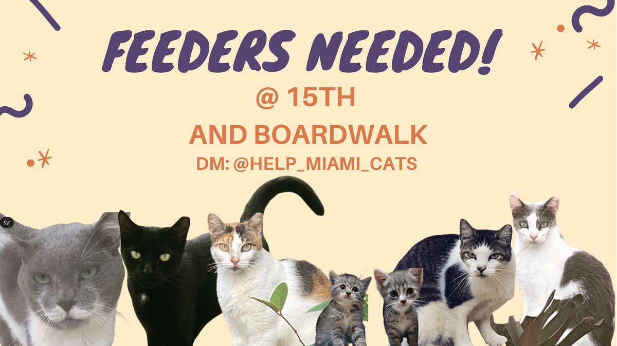 We are in desperate need of feeders along the Boardwalk between between 15th and 23rd. Come join us in caring for our gorgeous #SobeCats! #FeedersNeeded #CatVolunteer #SouthBeachCats #MiamiBeach #Share #Retweet #VolunteersNeeded #LendAPaw #CuteCats #CommunityCats