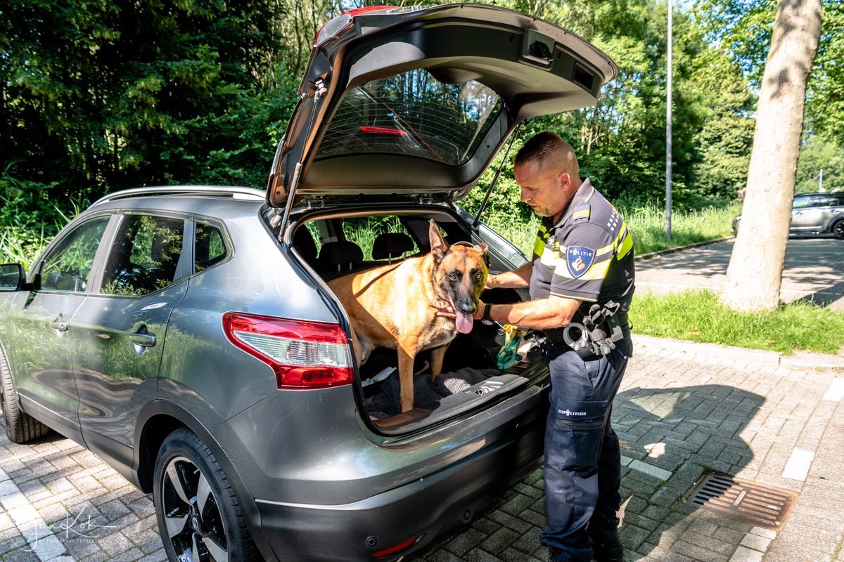 Pol_DWRotterdam's tweet image. LAAT UW HOND NIET IN DE AUTO!

Ook of misschien juist als U op vakantie bent, behoeft Uw hond de nodige zorg. laat hem niet in de auto, ook niet voor even. Let op het lopen op het asfalt. Dit kan erg heet zijn en zwaar letsel veroorzaken.
Namens ons, fijne vakantie!