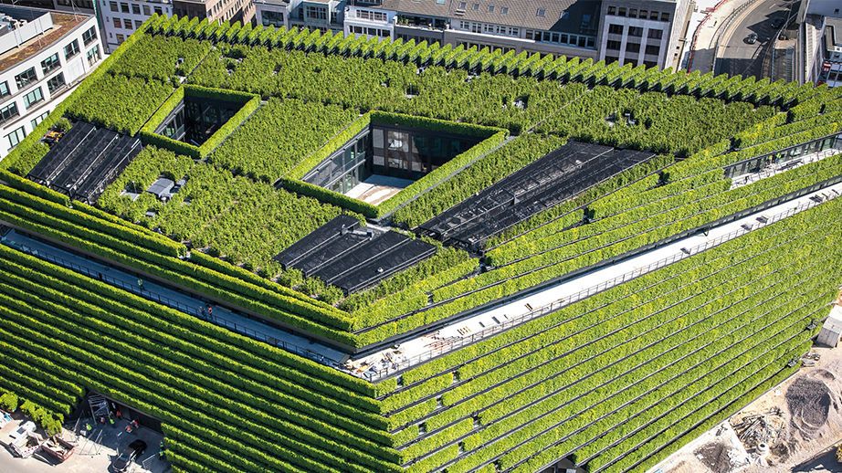 Biobaunetz (@biobaunetz1) on Twitter photo Gebäudehülle aus 30.000 Pflanzen: Der Düsseldorfer Gebäude-Komplex KII aus Glas und Naturstein von Stararchitekt <a href="/DanielLibeskind/">Studio Libeskind</a> bildet mit rund 8.000 Laufmeter Hainbuchhecke die grüne Lunge Düsseldorfs, @DETAILde: detail.de/artikel/autos-… Gebäudehülle aus 30.000 Pflanzen: Der Düsseldorfer Gebäude-Komplex KII aus Glas und Naturstein von Stararchitekt <a href="/DanielLibeskind/">Studio Libeskind</a> bildet mit rund 8.000 Laufmeter Hainbuchhecke die grüne Lunge Düsseldorfs, @DETAILde: detail.de/artikel/autos-…