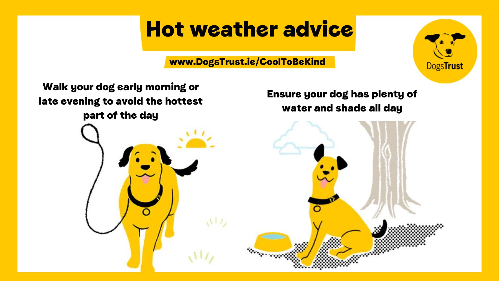 Is It Better To Walk Your Dog In The Morning Or At Night