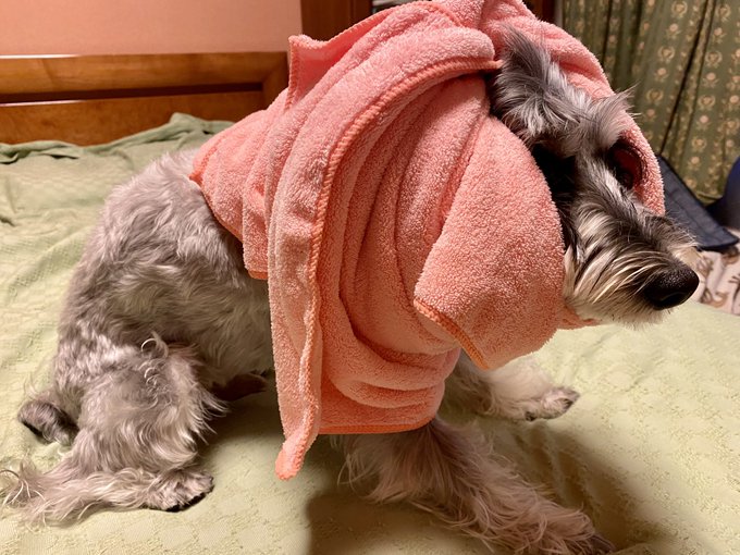 ãŸã ãšãªã¶ãã¹ã«ã©ãŒãå€ããªããã£ãã¡ããð¶ðŠ
ããšæ°æ¥ã®èŸæ±ã ããðŠ
ãæ£æ©ã®ããšãã«ã©ãŒãæŽã£ãŠããéã¯ãæ£éšã«è§Šããªãããã«ã¿ãªã«ã§ã¬ãŒãããŸããâŠ
ç³ãèš³ãªããªãããâŠãªããªã坿ããç¬