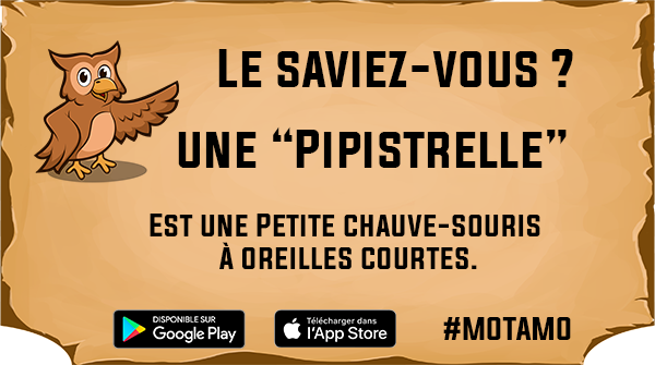 Motamo_fr's tweet photo. Connaissez-vous la "Pipistrelle" ?
.
.
Découvre encore plus de mots en jouant à Motamo
Télécharge le jeu sur https://t.co/jHlnPteGYF
Disponible gratuitement sur #IOS et #Android
.
#motsmarrants #Motamo #jeudemots #JeuMobile #madeinfrance #pipistrelle #mobileapp #mobilegame #app https://t.co/0m7eg3ewve