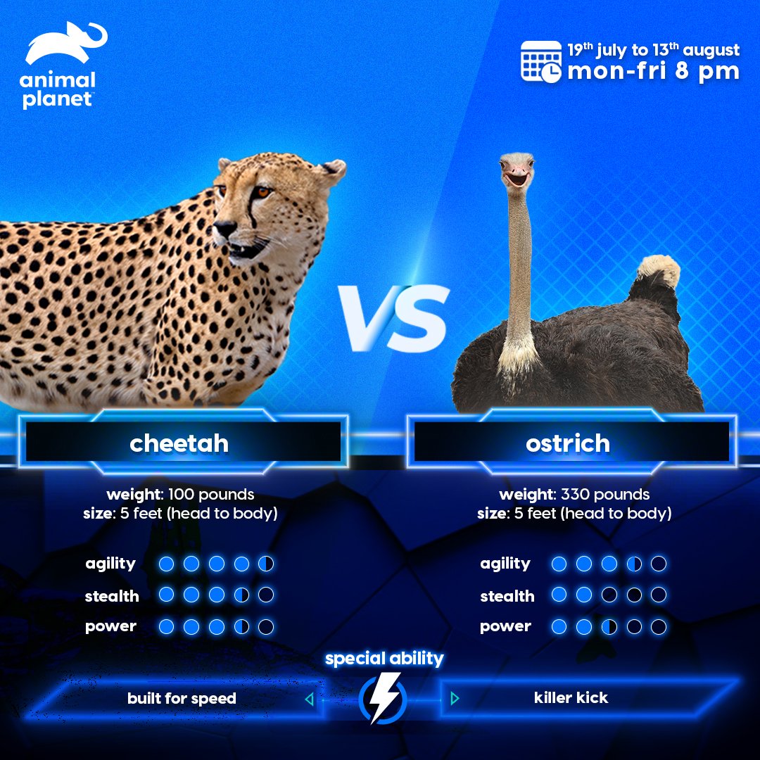 Animal Planet India on Twitter: Animal Planet India on Twitter: