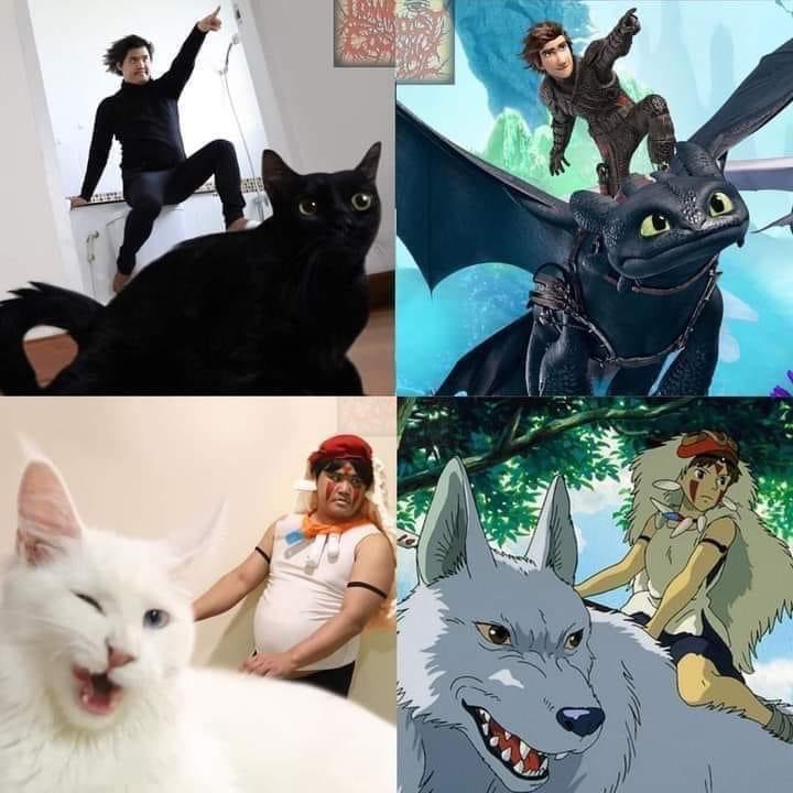 WholesomeMeme's tweet photo. https://t.co/rsjcpwhDuP