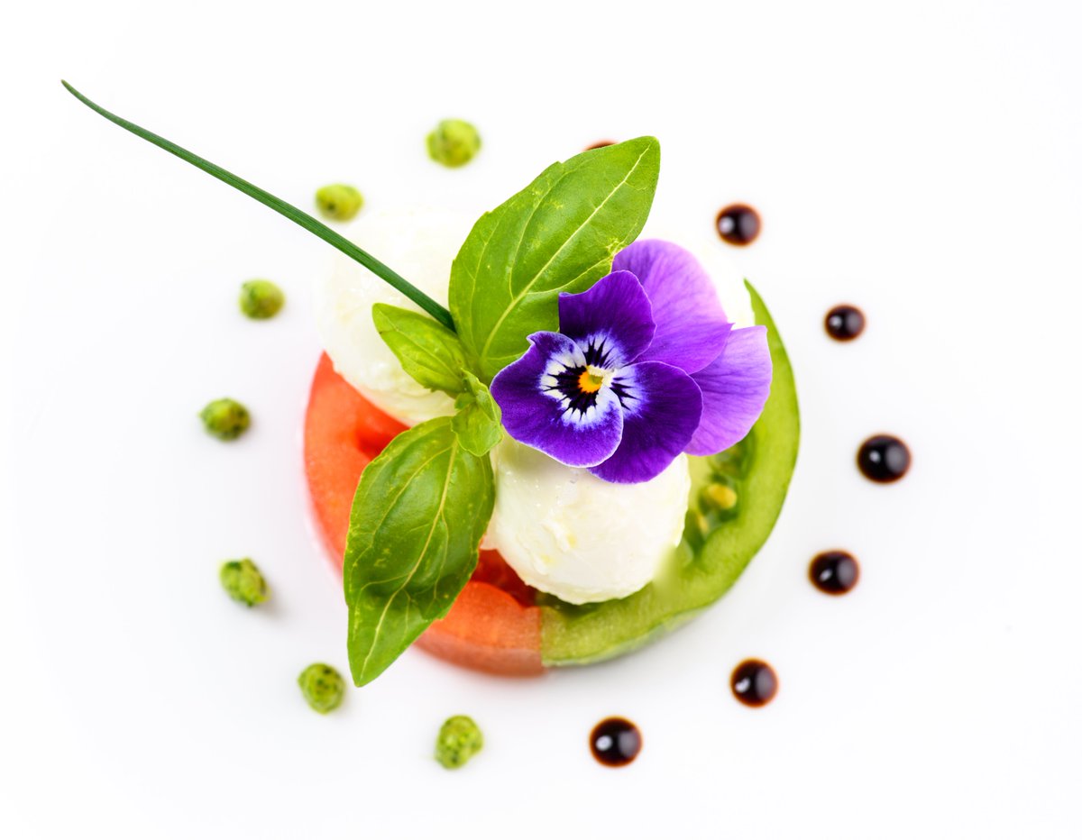 MaisonMonblanc's tweet photo. Point météo du jour: soleil et chaleur. On opte pour une entrée haute en couleurs et rafraîchissante: notre duo de tomates verte et rouge, billes de Bufala et pesto!

#monblanc #monblanctraiteur #entréedété #cestlété #summertime #evenementiel #produitsdesaison #bordeaux https://t.co/Xby7qd9g1X