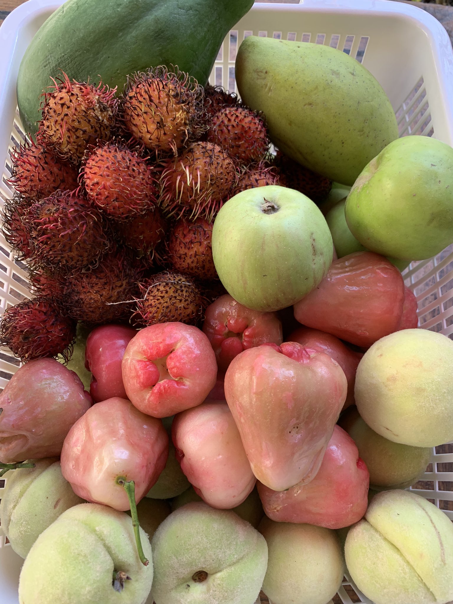 ベトナム料理フォーンヴィェット 本日の店頭フルーツ すべてお分けする事ができます 蓮霧 青桃 青林檎 青パパイヤ 青マンゴー ランプータン 青いフルーツぱっかりやないかい T Co Ylxvstvpkp Twitter