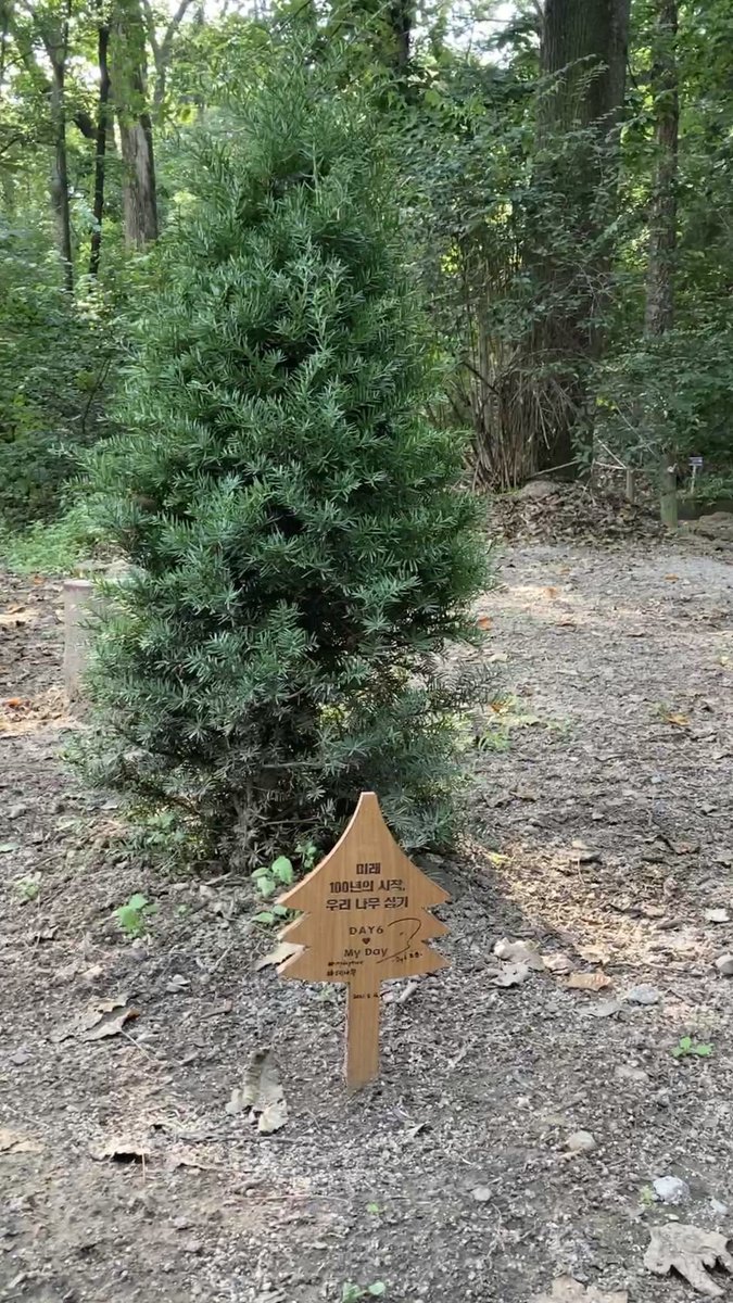 🌲데나무 근황 (21. 07. 21)

#데나무
#mydaytree