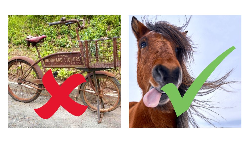 Your Consortium tweet media