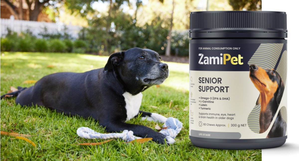 formypetz's tweet photo. ZAMIPET ... as seen on TV | Australian Dog Chew Supplements - https://t.co/O7QdaFYQ7A https://t.co/xvuiCxXA3I