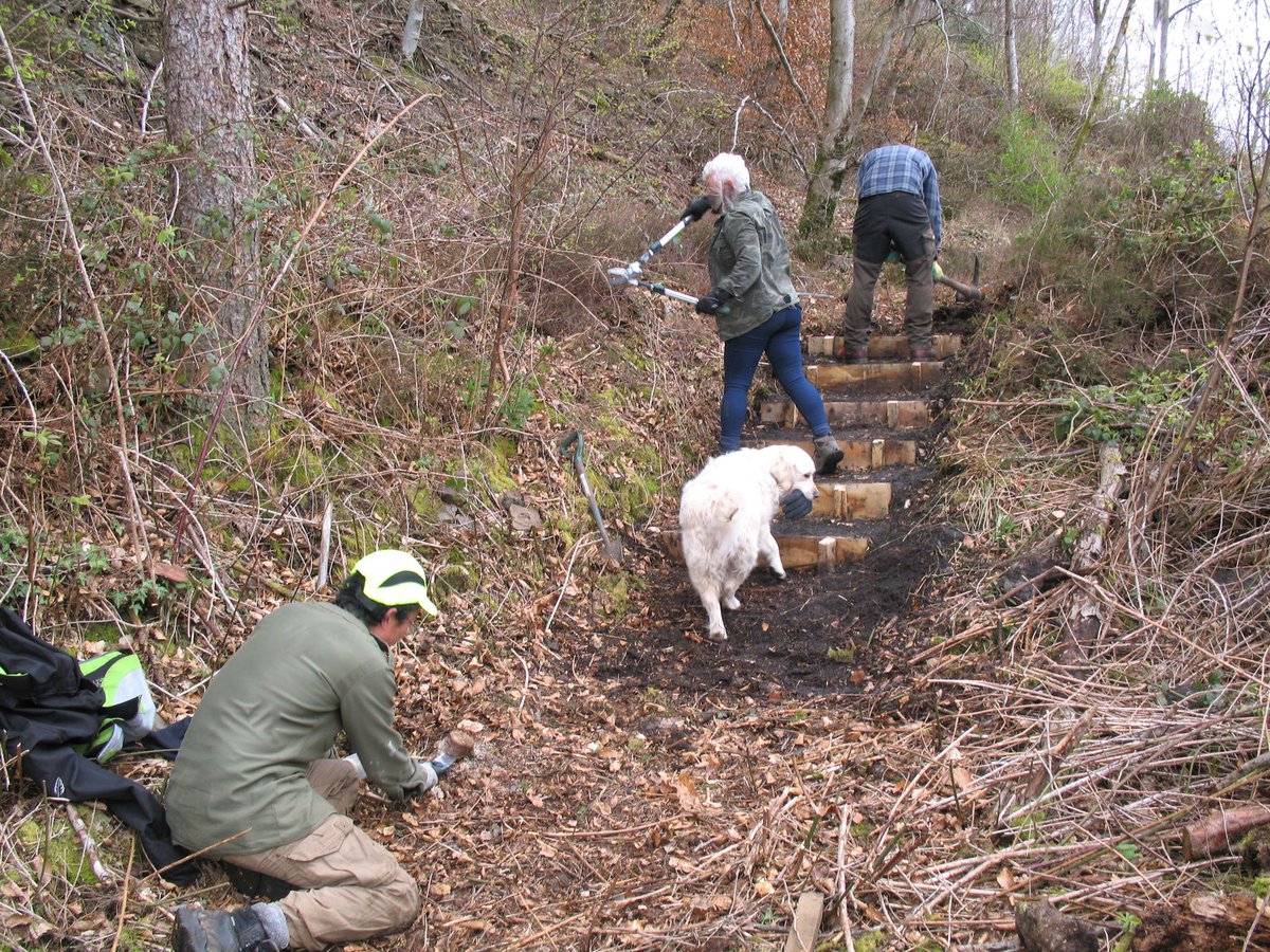Join our #webinars on 22 and 23 July for more information about our £380,000 grant programme to encourage people from #excluded and #disadvantaged #communities across Wales to get in touch with #nature <a href="/WGClimateChange/">Welsh Government Climate Change</a>  ticketsource.co.uk/whats-on?q=nat…