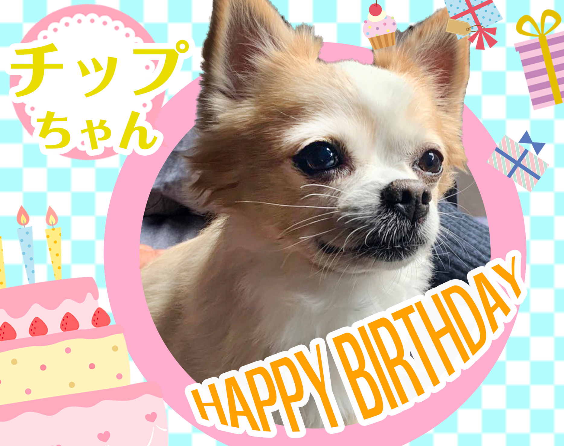 パンフェノン Twitter Search Twitter