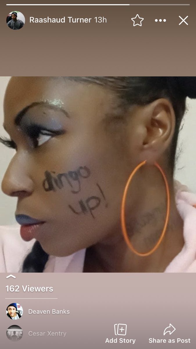 GetOffMyDingo's tweet image. 