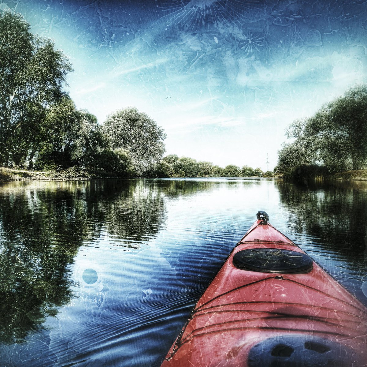 Sebastian tweet media