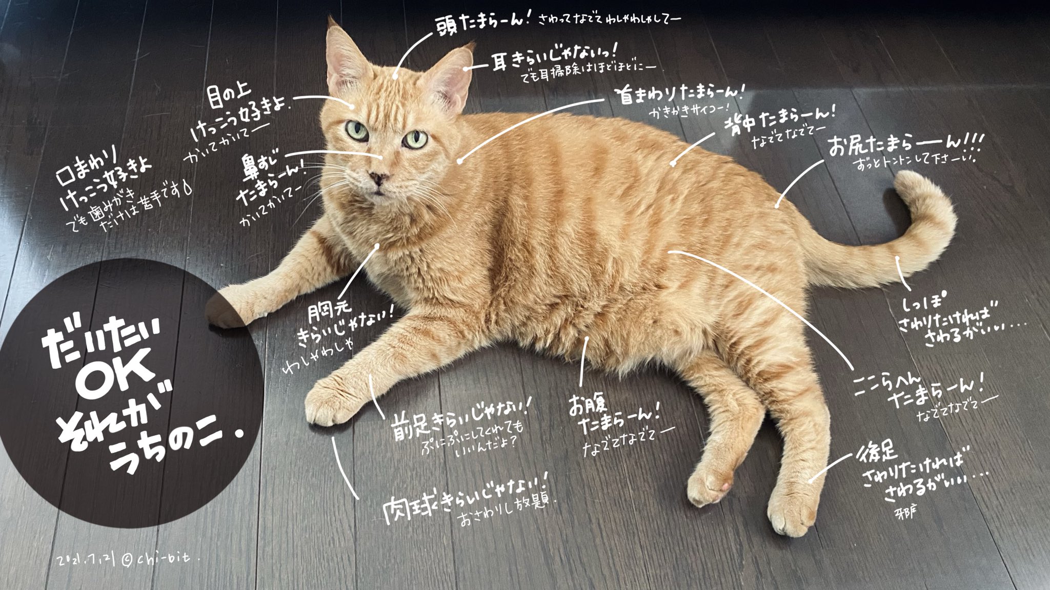 ちびっと Chi Bit 日々触りまくってます 猫 うちのこ が触ると喜ぶ場所 ちなみに猫 と仲良くするにはグイグイいかない 大きい声を出さない なるべく屈んで 触る時はお伺いを立ててからゆっくり撫でると吉 Cat Trnk 猫のいる暮らし T