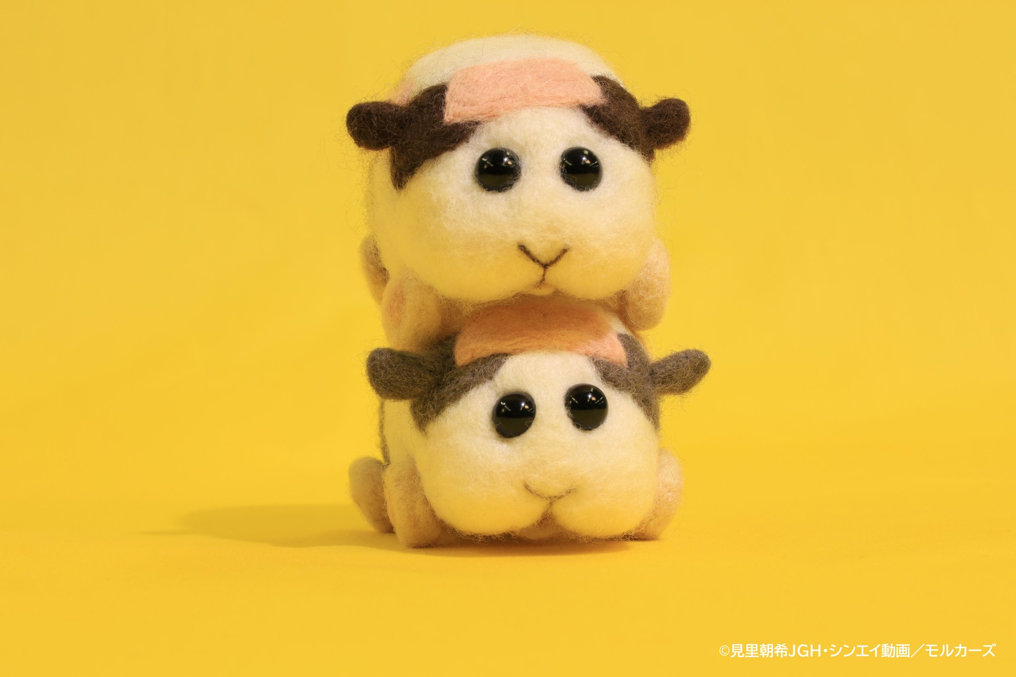 Pui Pui モルカー 公式 とびだせ ならせ Pui Pui モルカー 公開までついにあと 1日 本日ご紹介するモルカーは テンテン トントン です キャラクター紹介は T Co x4vnlvfq をチェック 明日の更新はおやすみですが 映画公開日 Pui Pui モルカー 公式 とびだせ ならせ Pui Pui モルカー 公開までついにあと 1日 本日ご紹介するモルカーは テンテン トントン です キャラクター紹介は T Co x4vnlvfq をチェック 明日の更新はおやすみですが 映画公開日