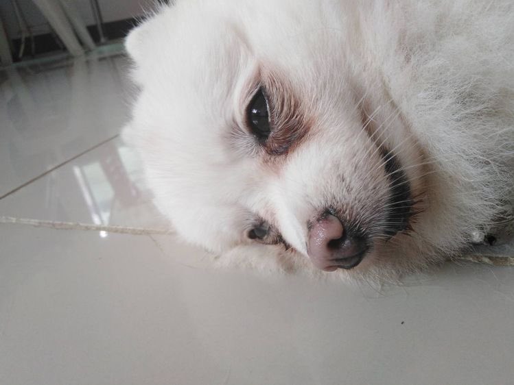 𝙚’𝙬𝙚𝙚𝙣 tweet media