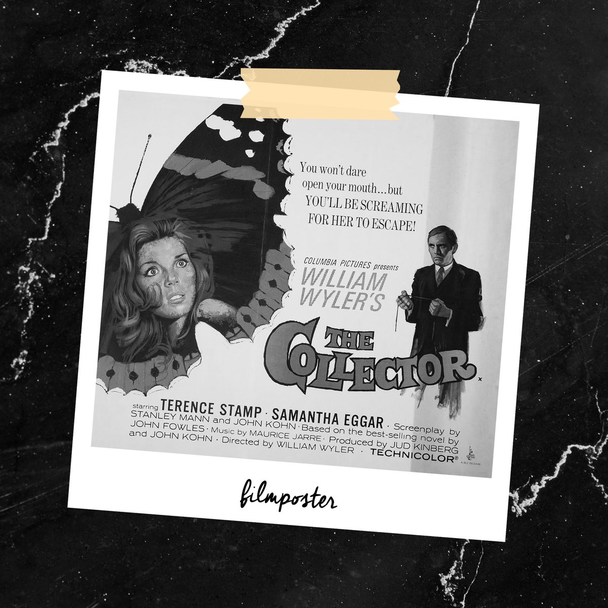 morbidezusters's tweet image. Op foto 1 zie je de Britse filmposter voor de verfilming van The Collector uit 1965 met in de hoofdrollen Samantha Eggar en Terence Stamp (foto 2). De laatste foto is de boekomslag van de eerste druk (VS)

(fotocredits: imdb.com &amp;amp; lemuriabooks.com)