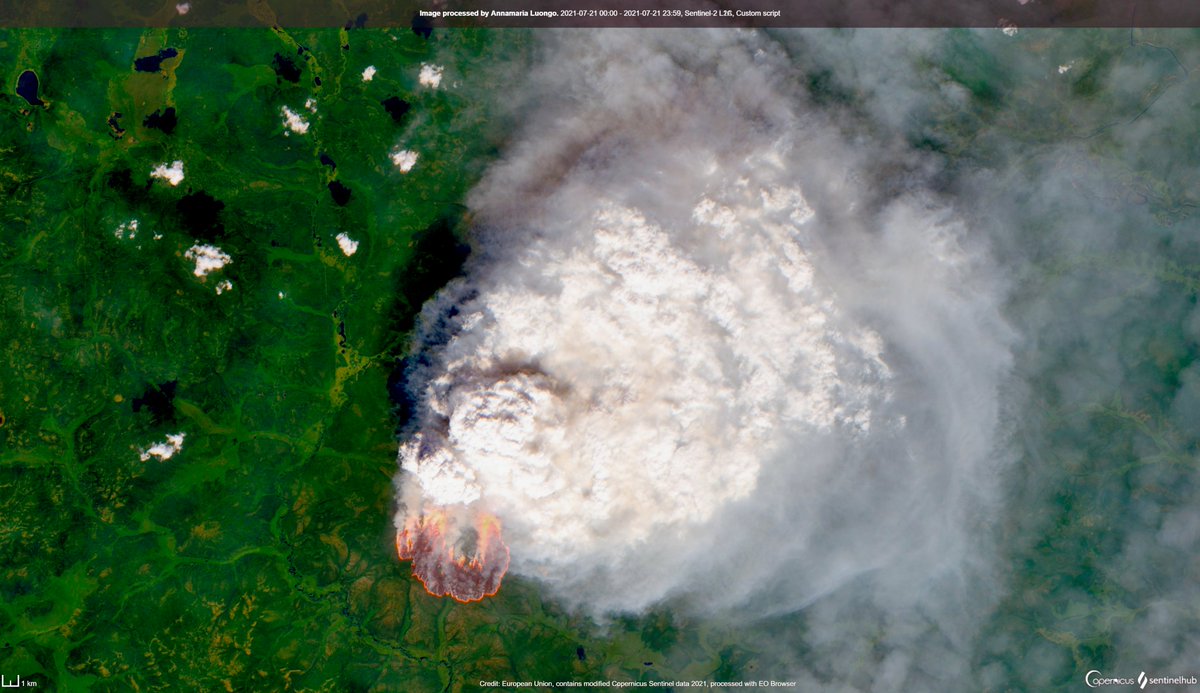 "Climate in Yakutia 🇷🇺 is getting hotter by the year" ... and wildfires ravage the forests 

⬇️A #wildfire ongoing today 21 July (Lat: 63.43, Lng: 115.25) as seen by #Sentinel2 🛰️ 

#ClimateEmergency #ClimateAction #NoPlanetB 

x.com/siberian_times…