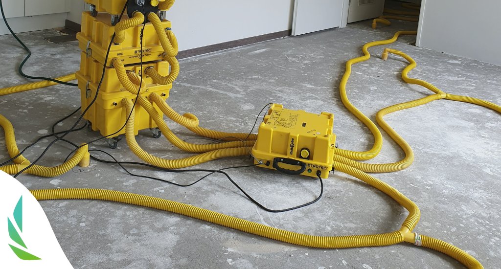 HHGURECO's tweet photo. Bij waterschade is het van belang om zo snel mogelijk actie te ondernemen, omdat vocht kan leiden tot schimmel en rot. Ook moet een eventueel lek zo snel mogelijk worden opgespoord. Lees meer over onze aanpak bij waterschade: https://t.co/pvGLAdyM4T https://t.co/BVgH5GCY2l