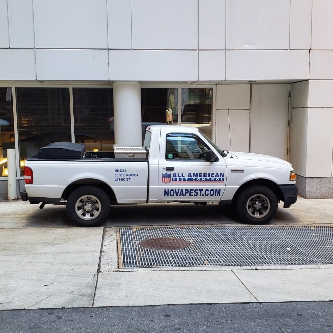 BestNovaPest's tweet photo. Local &amp; convenient for you! Give us a call for service inquiries or to schedule your appointment! (703) 379-4049 or visit https://t.co/LGgXG3bKmO for a full range of services offered!

#NOVA #Virginia #WashingstonDC#DCNOVA #alexandriava #annandaleva  #Pestcontrol #novapest https://t.co/DfeLCDpban