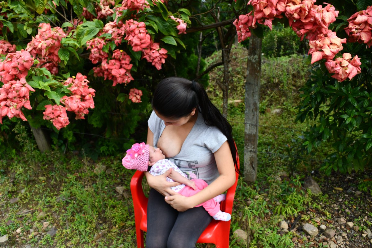 AlcaldiadePaya's tweet photo. #Lactatón, Luz Dary ofrece con amor lo mejor de ella en el mejor de los envases, para que su hija pruebe la ternura de su mamá.
🤰🍼"Proteger la lactancia materna es una responsabilidad compartida"
@AlcaldiadePaya
@Fundacion_Exito
@GobBoyaca
@BoyacaPInfancia https://t.co/UeWpcGgcBh