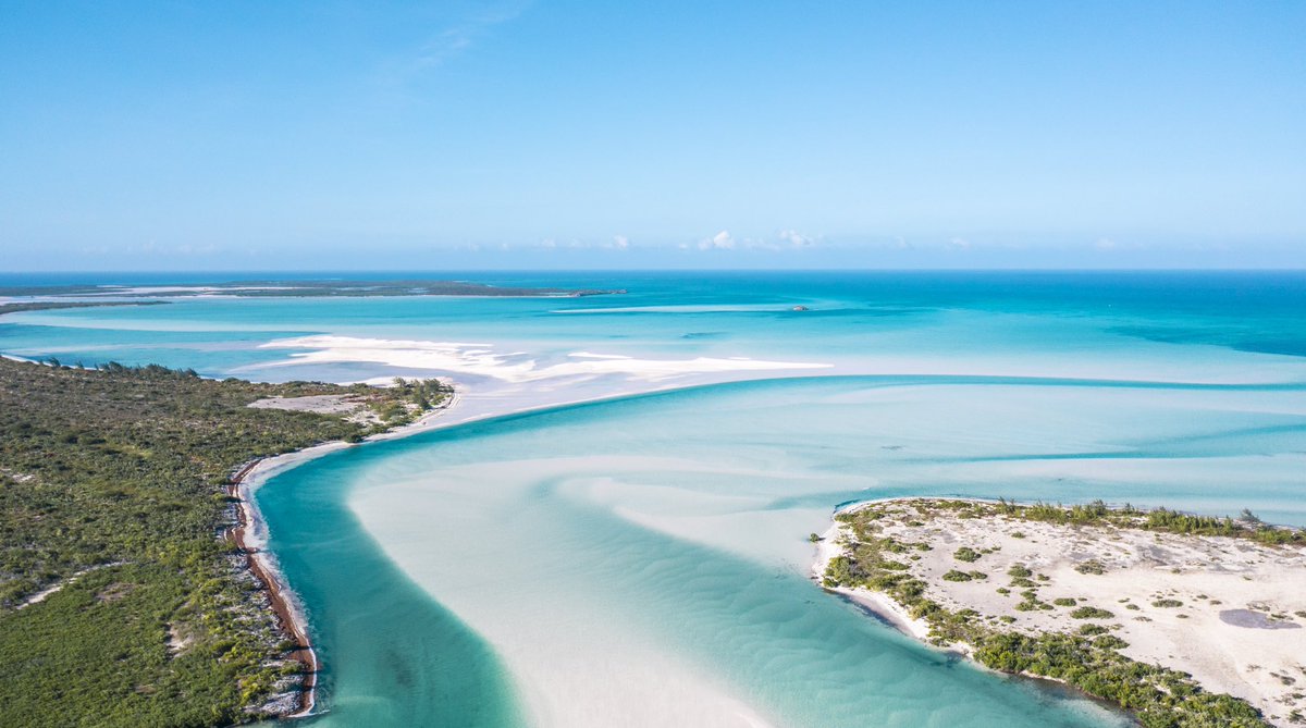 BahamasTouristOffice- Florida tweet media